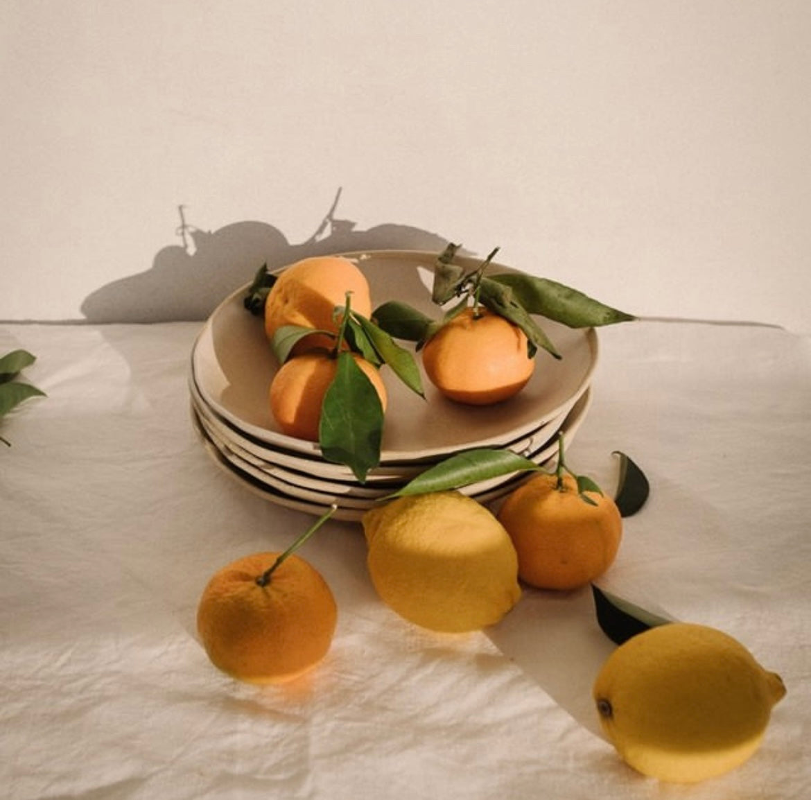 Stoneware Plates - Beige - set of 4